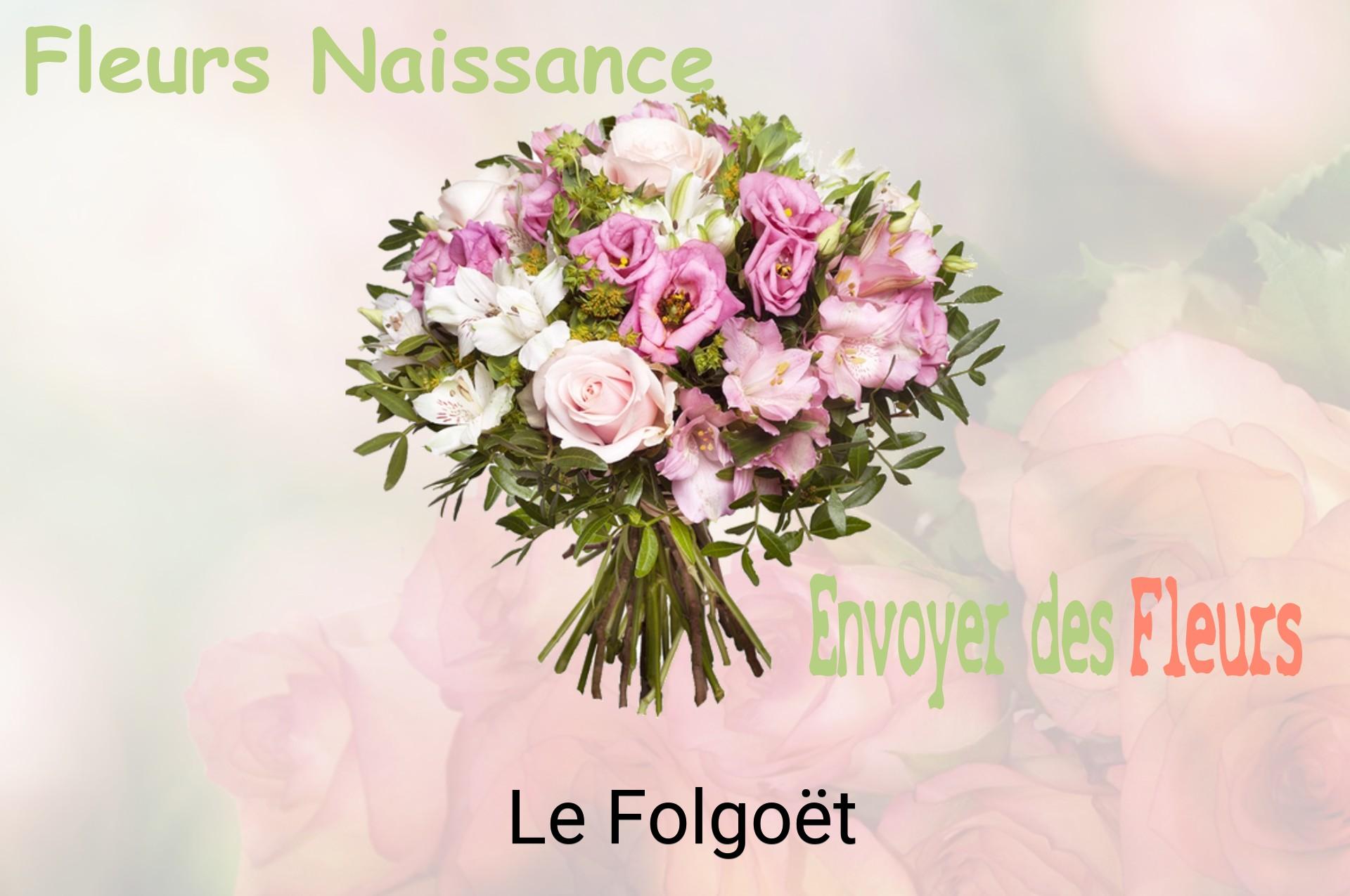 Bouquet de fleurs de naissance livré à Le Folgoët